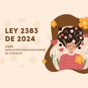 ley 2383 de 2024